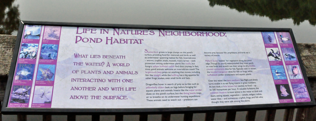 sign about Pond Habitat